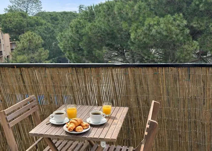 Apartment Elegant T2 100m De La Argeles-sur-Mer