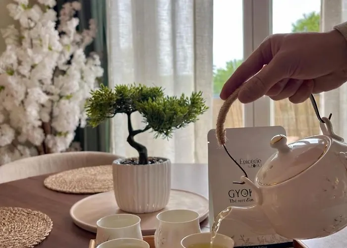 公寓 Elegant T2 100m De La